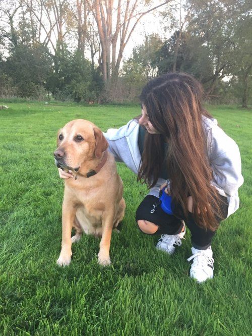 reconocimientos psicotécnicos para conductores, buceadores y animales peligrosos  en Gijón ,