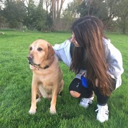 RECONOCIMIENTOS MEDICOS PERROS PELIGROSOS