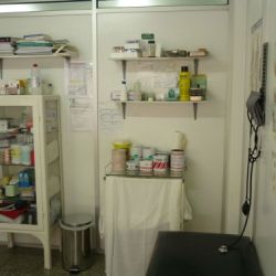 reconocimiento de conductores en gijón